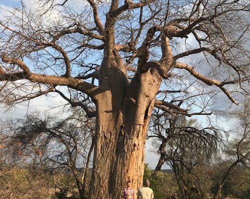 Makuya Nature Reserve